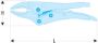 Afbeelding - https-www-ez-catalog-nl-Asset-2b9b51966f9f41869b2167838cbb7a41-ImageFullSize-580-6-DTC01-jpg